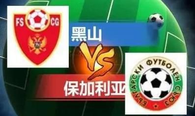 国产极品精频在线观看