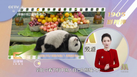 国产成人a毛片在线